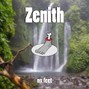 No.Feet - Zenith