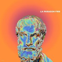laparagon