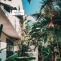 tenhush - 420 Pineapple St