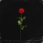 DJDavidRay - [FREE] Indie x bedroom pop type beat "wait for you"