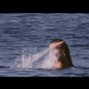 thxnkq - Like That