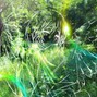 prod. Eternal Gods - TWEEZEE ANGEL