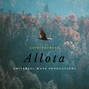 LuisTheGreatYTA - Allota
