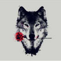 Young Rich Wolf