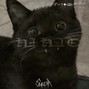 Subita - Hi-hat 
