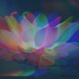 lucas1464music - LOTUS - Cloud Boomtrap