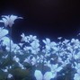 Prod.floyd - WITH YOU