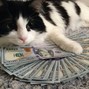 cleansyringe - bandz