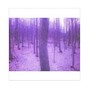 Heart Ache - The Secret of the Forest
