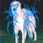 Ice - sighthound