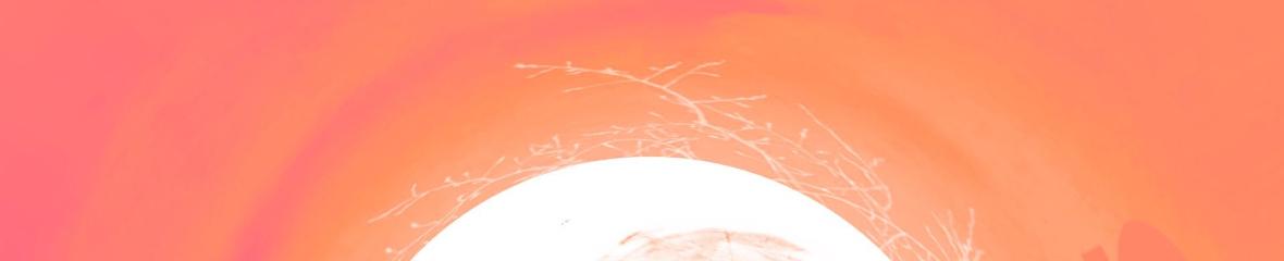Traktrain banner for @heaven