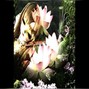bloodcryY - SPRING w/ ertu