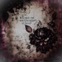 bloodcryY - CRIED LAST NIGHT w/ tiedforsilver