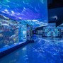 omg.tensei - underwater