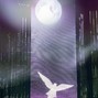 LONEWOLF BEATS - Angels