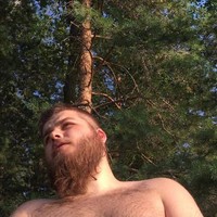 YOGI D'BEAR