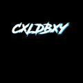 CXLDBXY