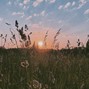 hesiwelic - Lofi Chill Type Beat "The Memories" | Prod. DreAw 