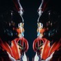 ALIN RAY - Bounce Boom