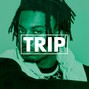 SHB - Trip