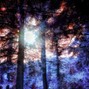 DAVV - Ambient - "SAINTS"