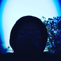 Shadow GRIM 