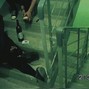 Rhys Lopez - Tax Fraud