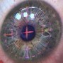 Sightss - yes