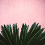ChuckOnDaBeat - For The Taking