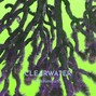 mammouth - CLEARWATER