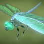 Fotrill - Dragonfly
