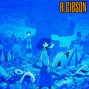 R.Gibson - Switch The Season