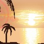 MANSA BEATS - Paradise