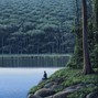 webster - peaceful 