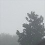 ax - i'll die alone
