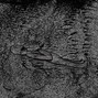 death mess - magical