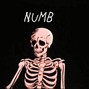 SP Da Palestrina - NUMB