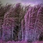 Clayto / Clayto’s Playground - ZEPHYR
