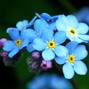 Clayto / Clayto’s Playground - FORGET ME NOT