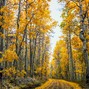 Clayto / Clayto’s Playground - ASPENS