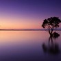 Clayto / Clayto’s Playground - SUNSET