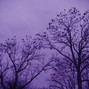 Clayto / Clayto’s Playground - CROWS