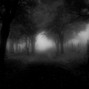 1xane - sublime