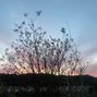 Lostatpeace - Hope