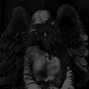 Dachii - STEALTH