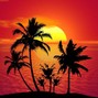 Musikall - Summer [BUY 1 GET 1 FREE]
