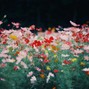 noahanutta - History