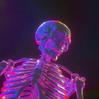 vxsxon