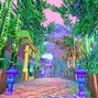 sercotos - forrest bump