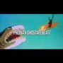 ProdbyGee - PHOBIA X GHOSTAPEBEATZ